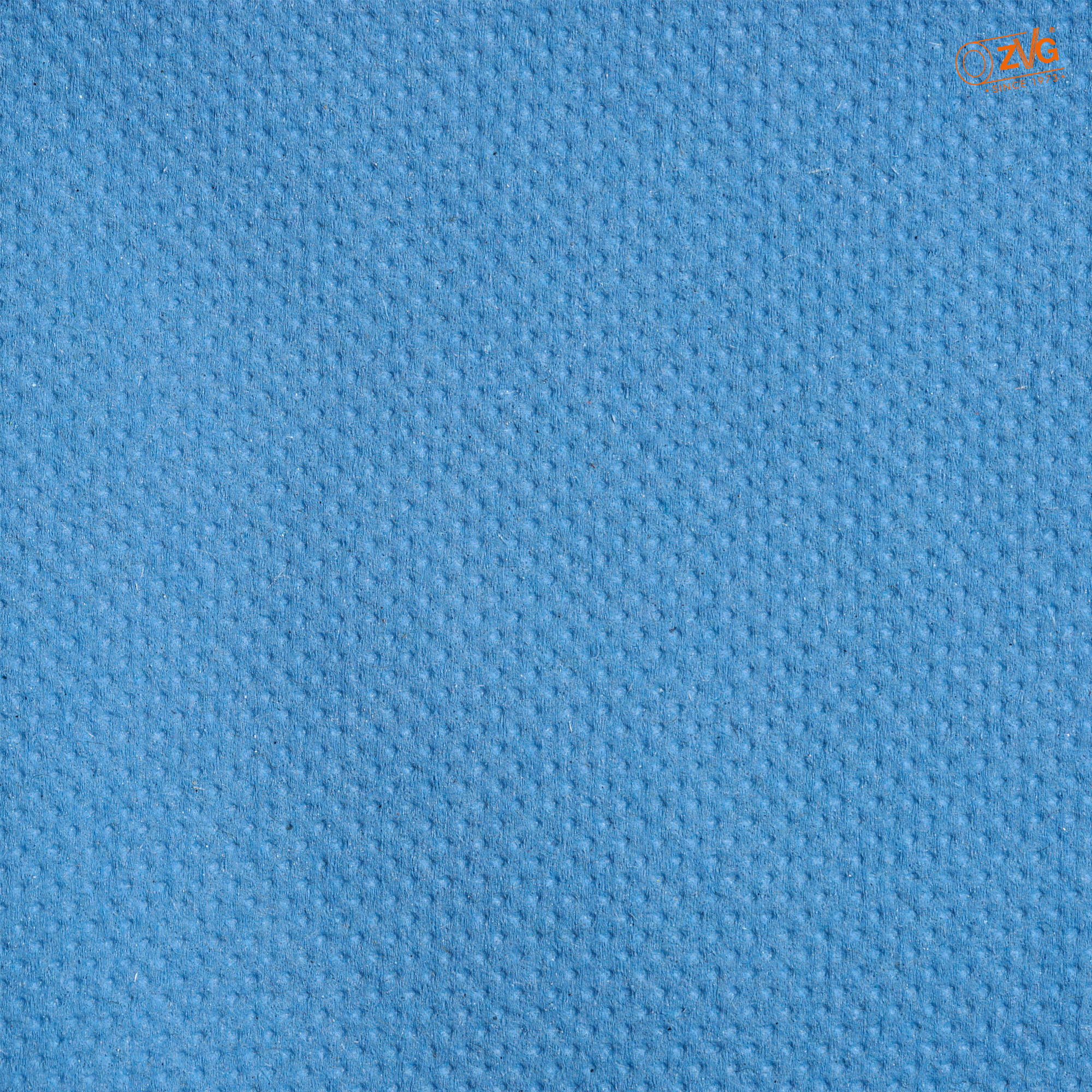 Putztuchrolle Multiclean®, 2-lagig (VPE 2, 22x35 cm )